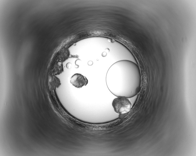 X0000085300734200703161433