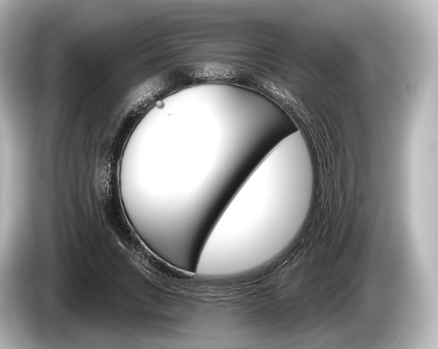 X0000085300735200703161433