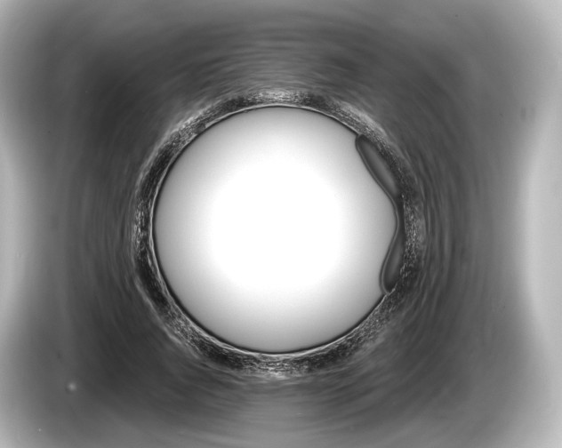 X0000085300736200703161433