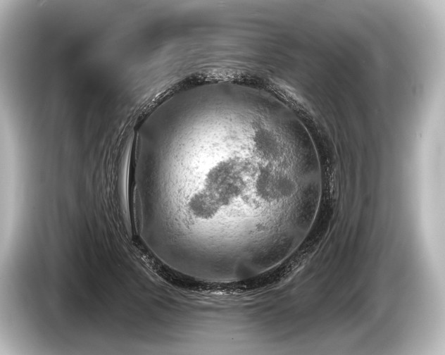 X0000085300737200703161433