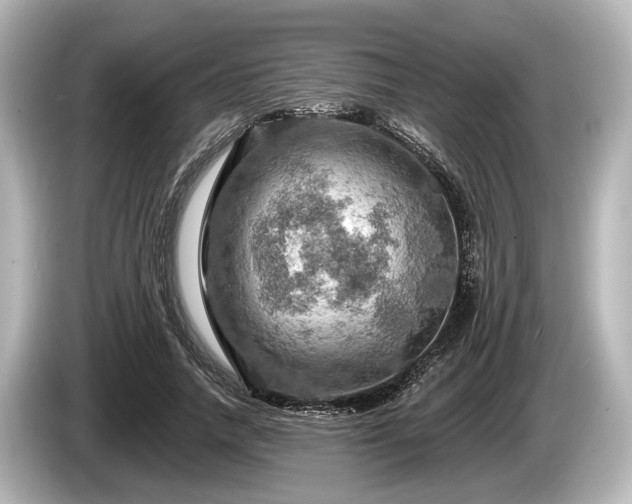 X0000085300738200703161433