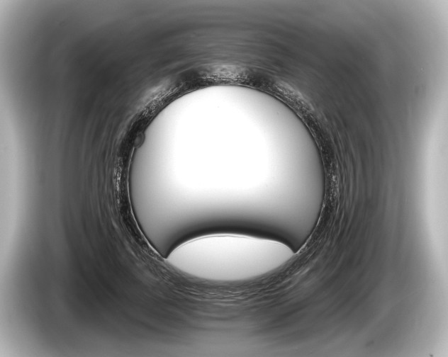 X0000085300739200703161433