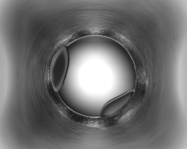 X0000085300740200703161433