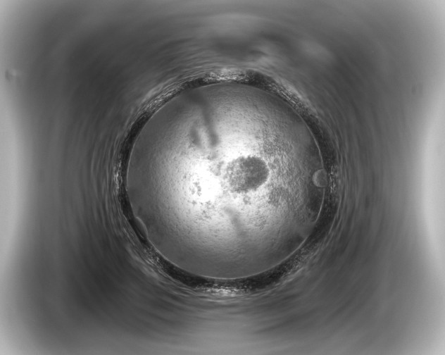 X0000085300741200703161433