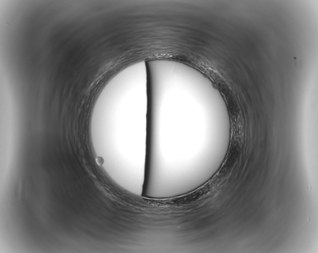 X0000085300742200703161433