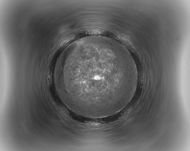 X0000085300743200703161433