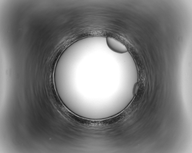 X0000085300744200703161433