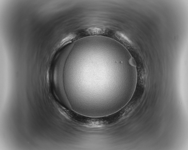 X0000085300746200703161433