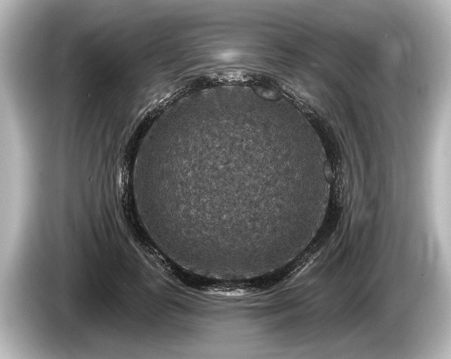 X0000085300747200703161433