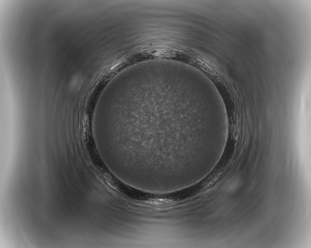 X0000085300748200703161433