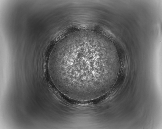 X0000085300749200703161433