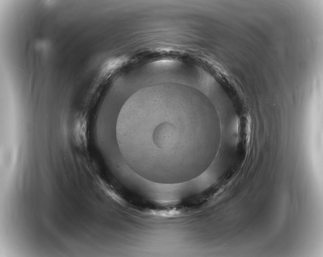 X0000085300750200703161433