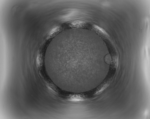 X0000085300751200703161433