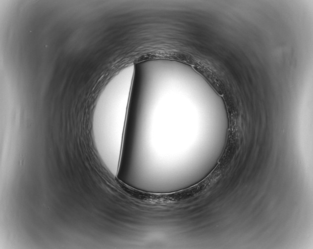 X0000085300752200703161433