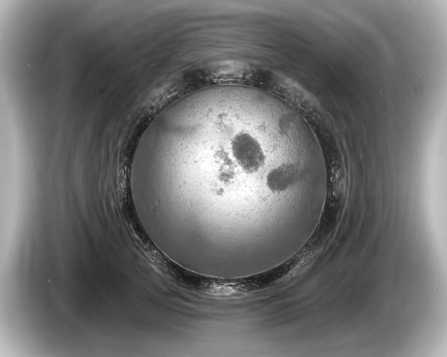 X0000085300753200703161433