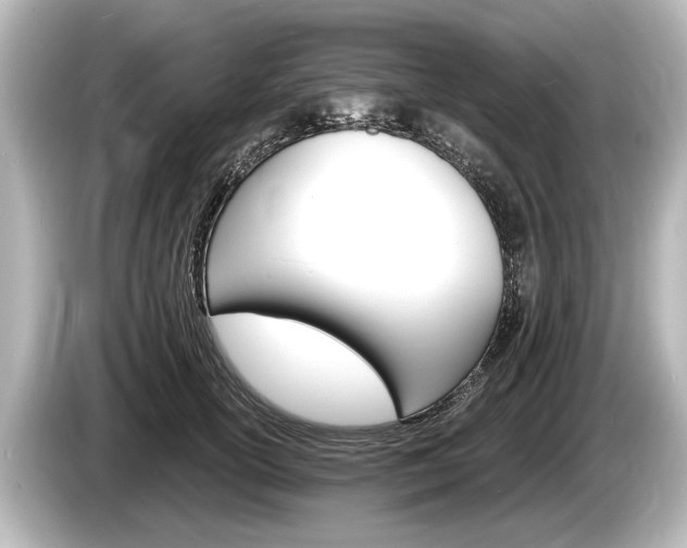 X0000085300754200703161433