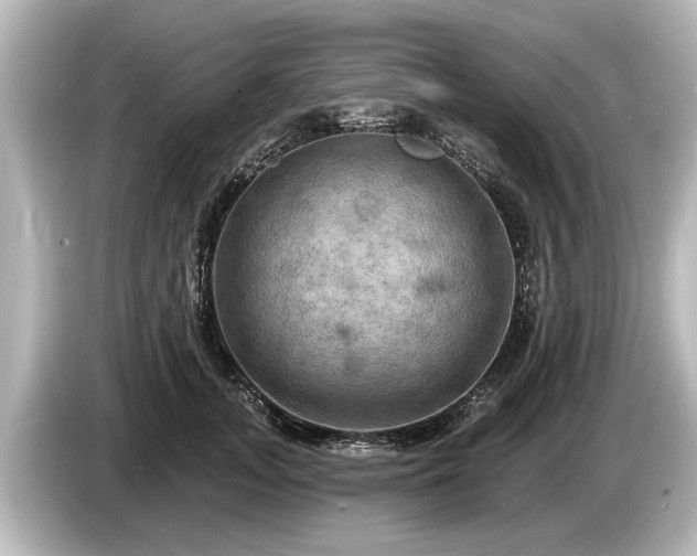 X0000085300755200703161433