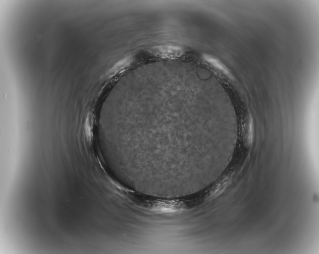 X0000085300757200703161433