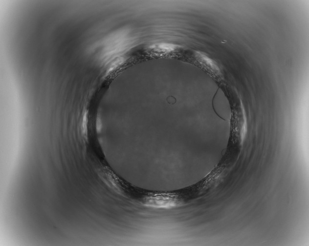 X0000085300758200703161433