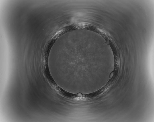 X0000085300759200703161433