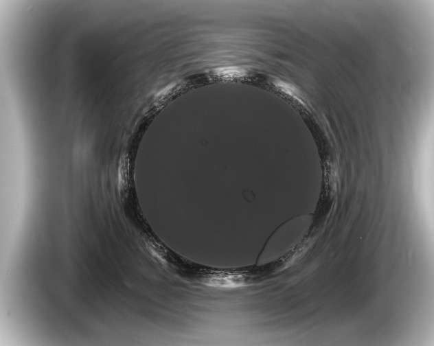 X0000085300760200703161433