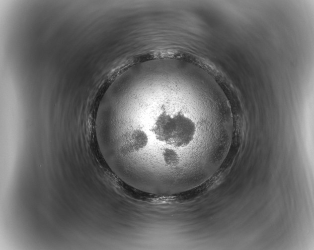 X0000085300761200703161433