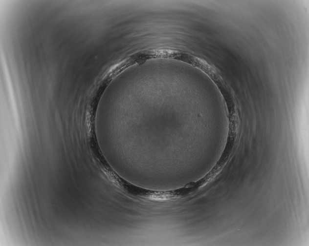 X0000085300762200703161434