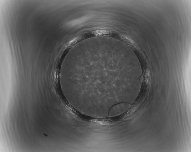 X0000085300763200703161434