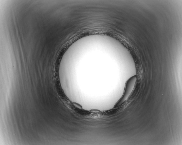 X0000085300764200703161434