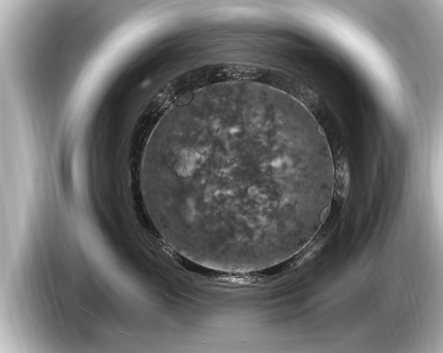 X0000085300765200703161434