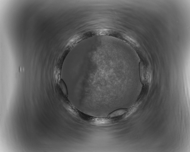 X0000085300766200703161434