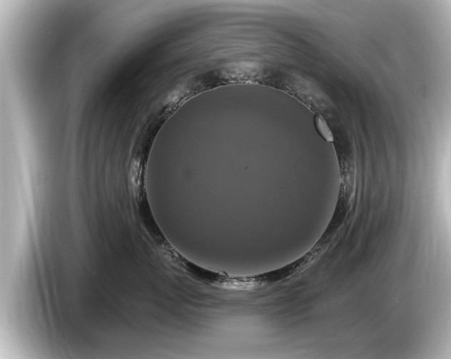 X0000085300767200703161434