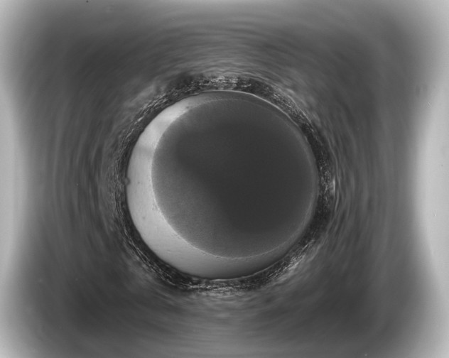 X0000085300769200703161433