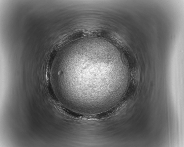 X0000085300770200703161433