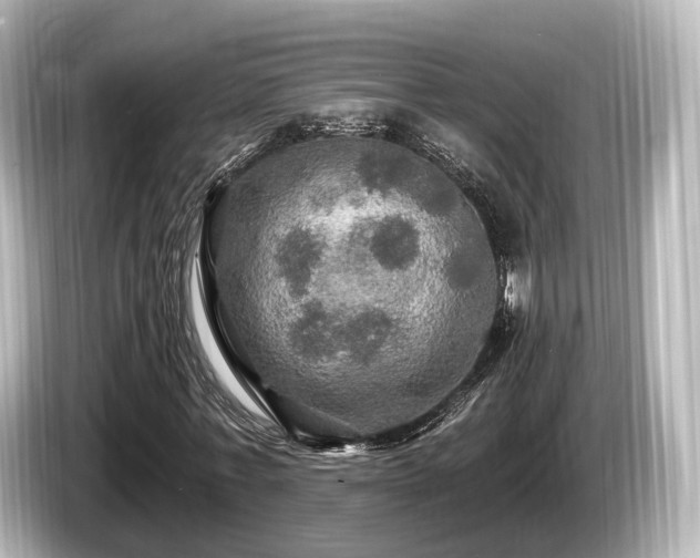 X0000085300771200703161433