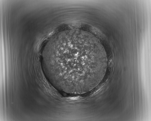 X0000085300772200703161433