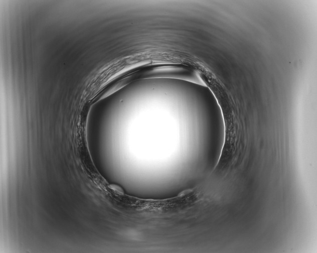 X0000085300773200703161433