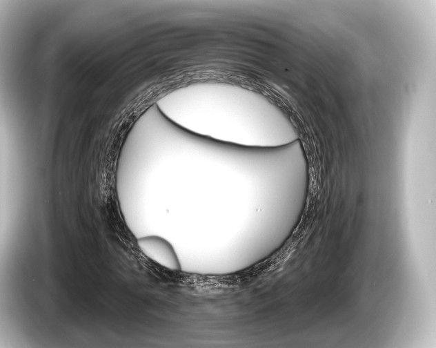 X0000085300774200703161433