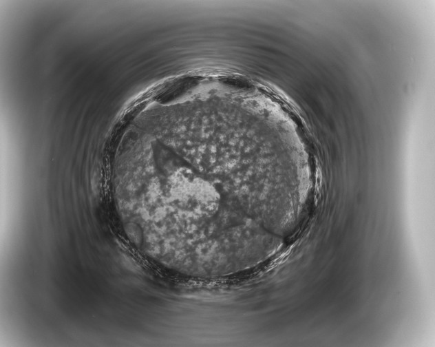 X0000085300775200703161433