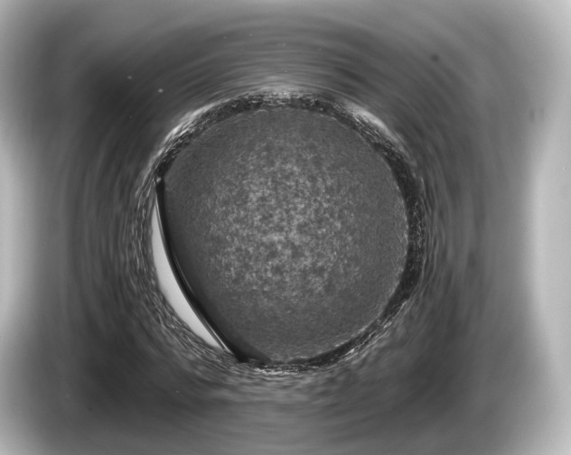 X0000085300776200703161433