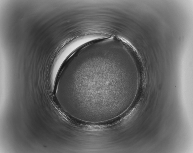 X0000085300777200703161433