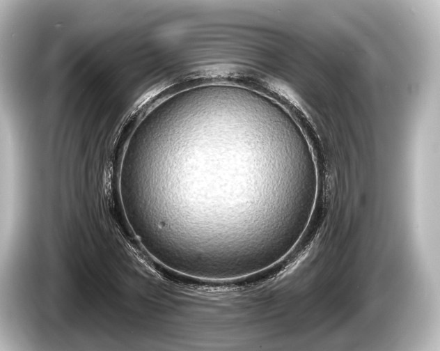 X0000085300778200703161433