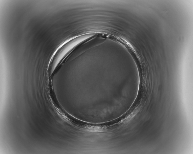 X0000085300779200703161433