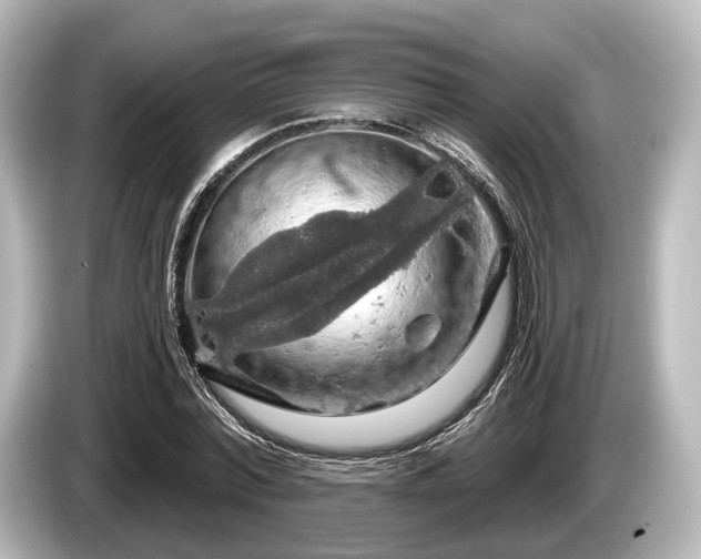 X0000085300780200703161433