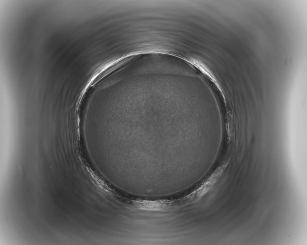 X0000085300781200703161433