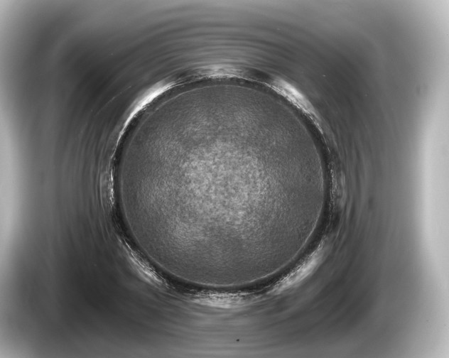 X0000085300782200703161433