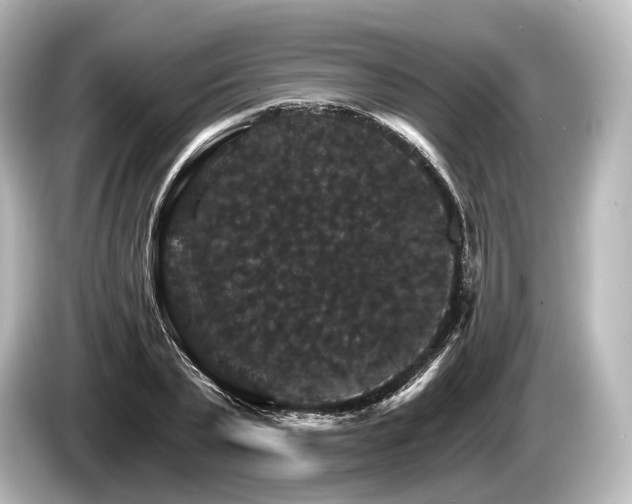 X0000085300783200703161433