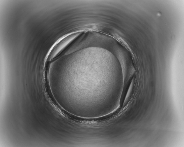 X0000085300784200703161433