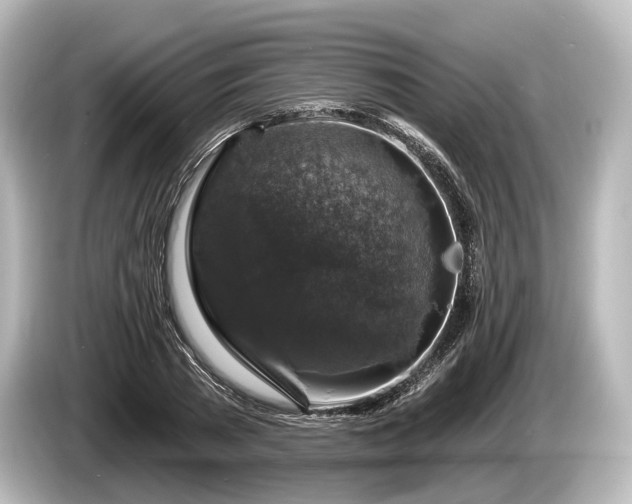 X0000085300785200703161433