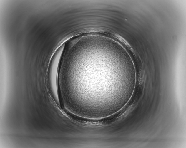 X0000085300786200703161433